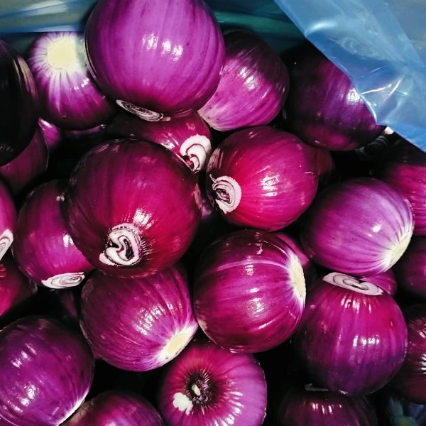 Huaang Food Processing, İstikrarlı Kalitesiyle Pazar Payı Kazanıyor