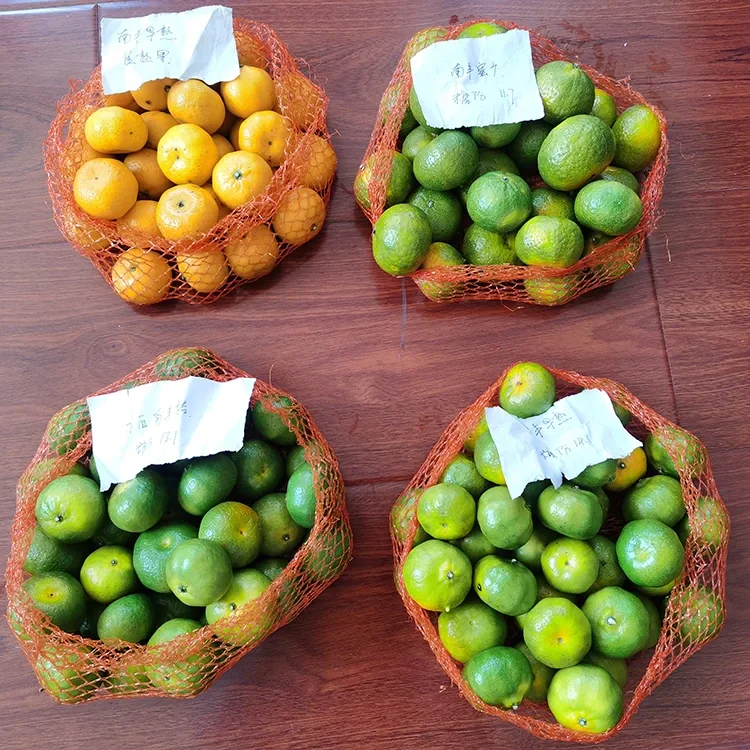 Taze Bal Mandalina