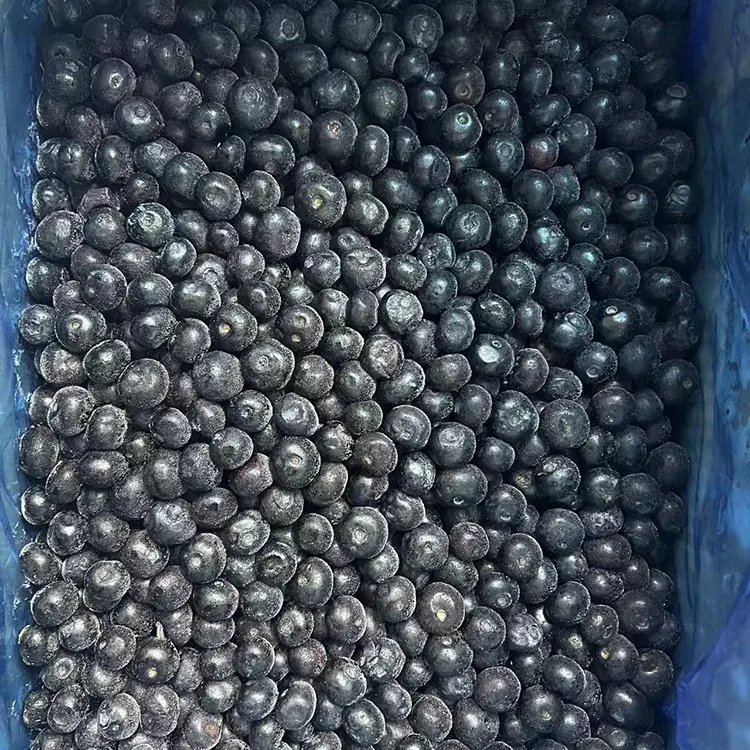 Dondurulmuş Yaban Mersini Premium IQF Yaban Mersini