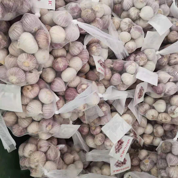 Yüksek Kaliteli Tek Diş Sarımsak
