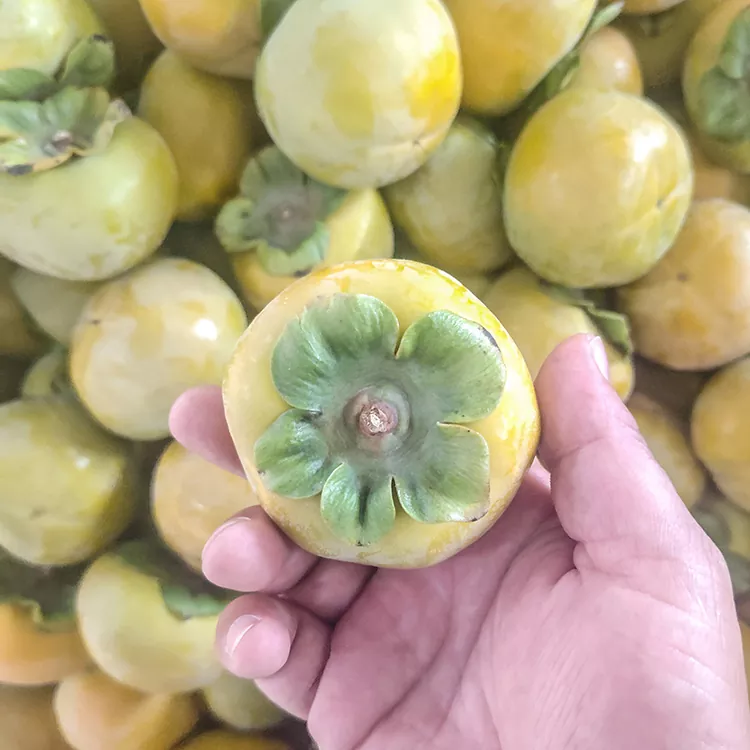 Premium Taze Çıtır Trabzon Hurması