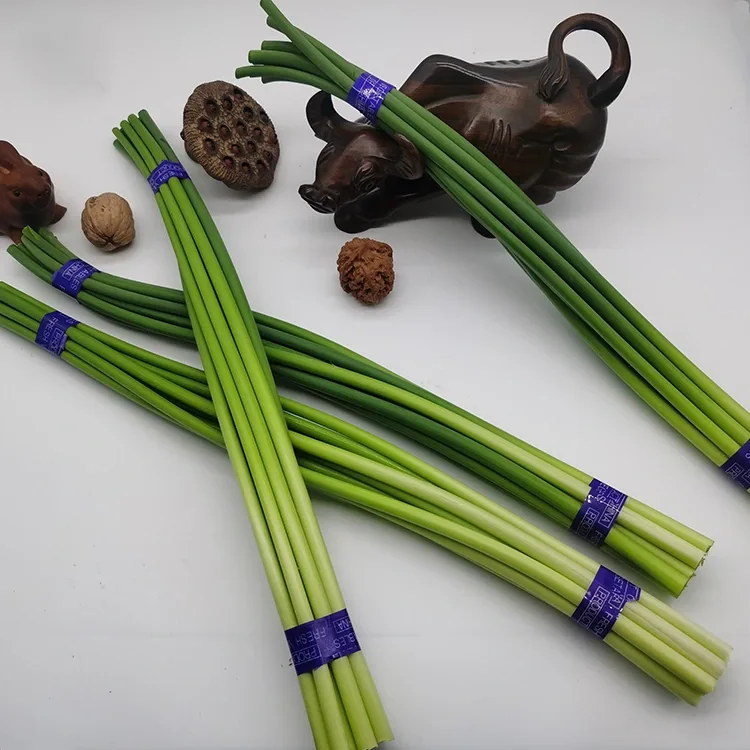 Premium Taze Sarımsak Scapes