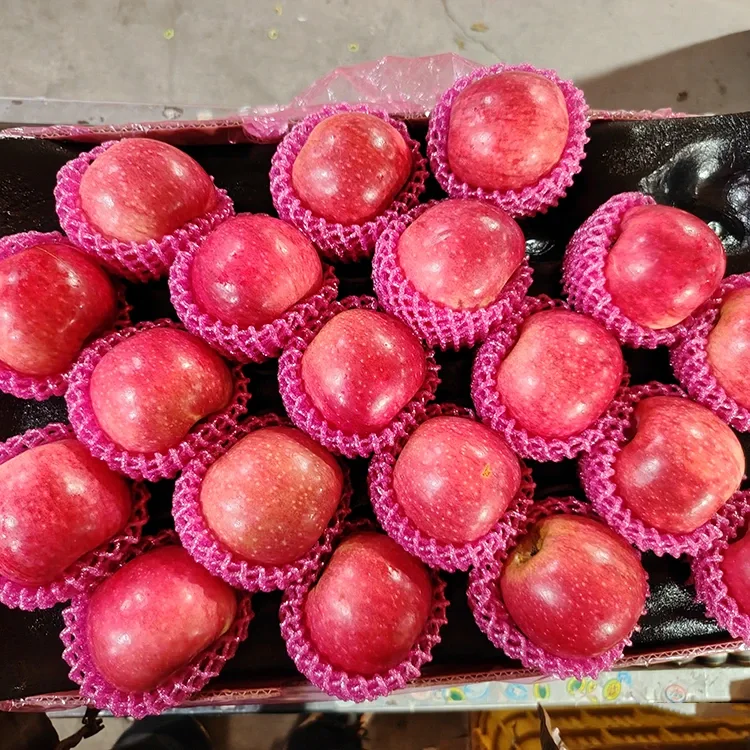 Üstün Taze Jiguan Elmaları